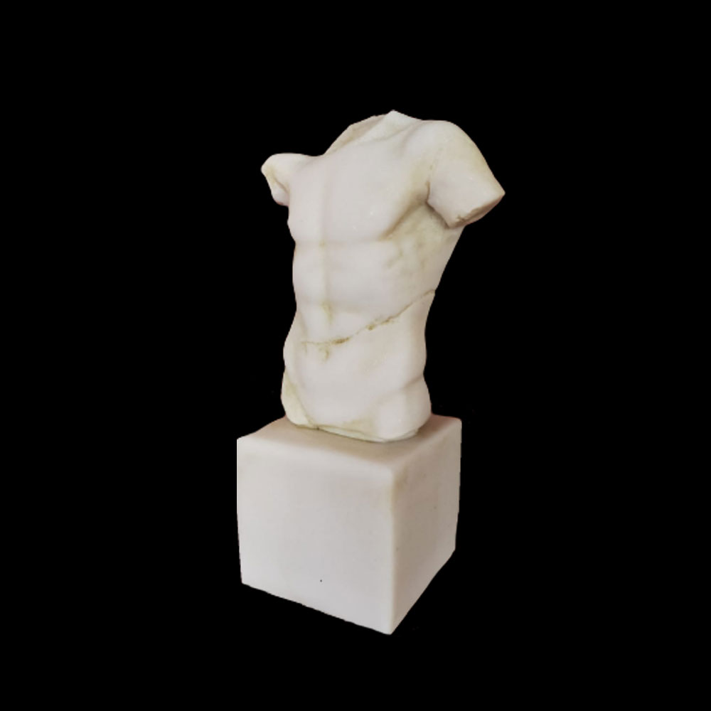 Erkek Torso